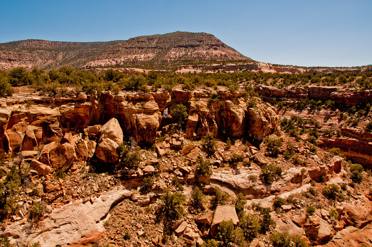 Sand Canyon East Rock Creek Loop · Featured Route COTREX