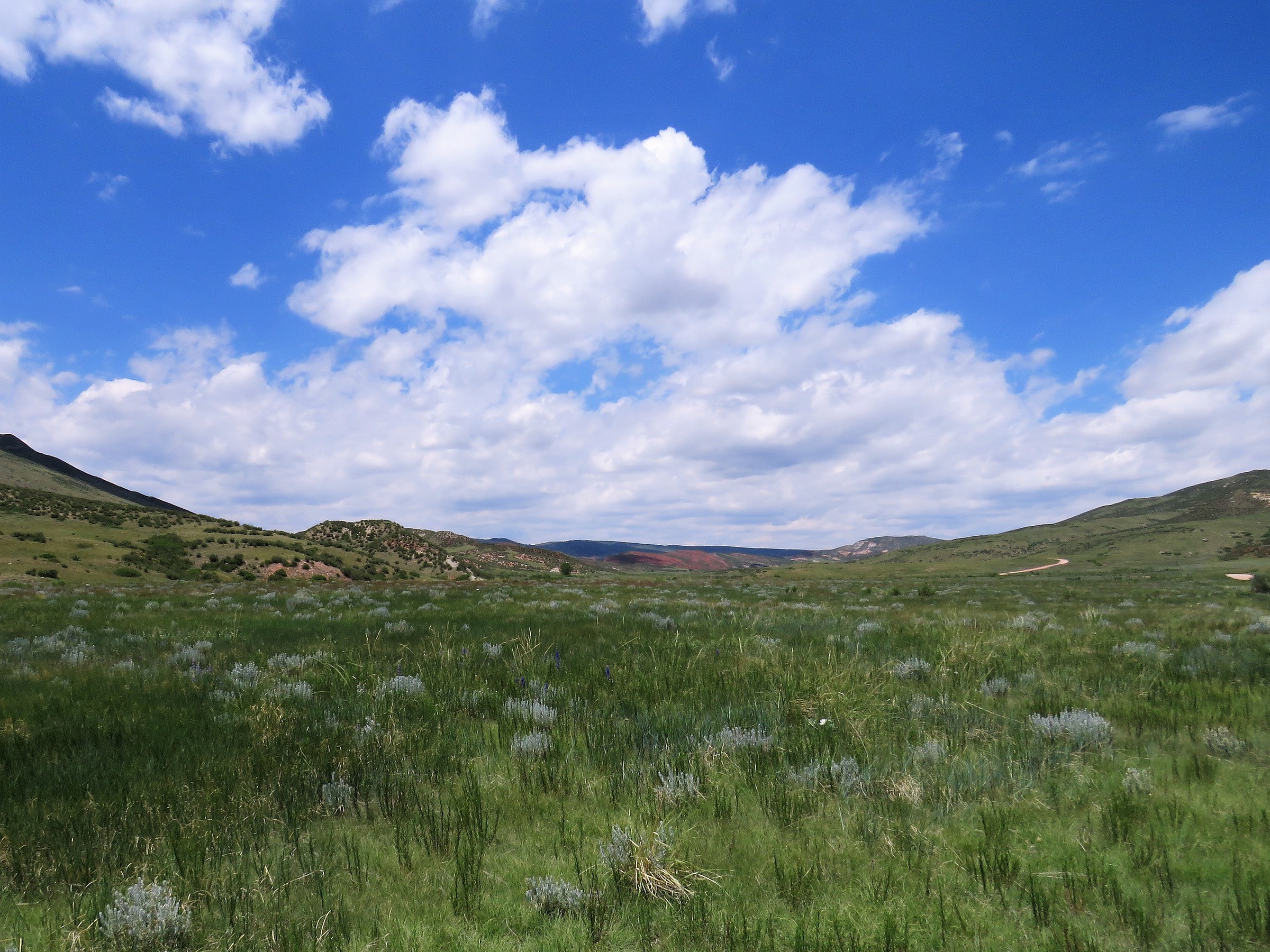 Ruby Wash Loop Ruby Wash – Cheyenne Rim Loop · Featured Route | COTREX