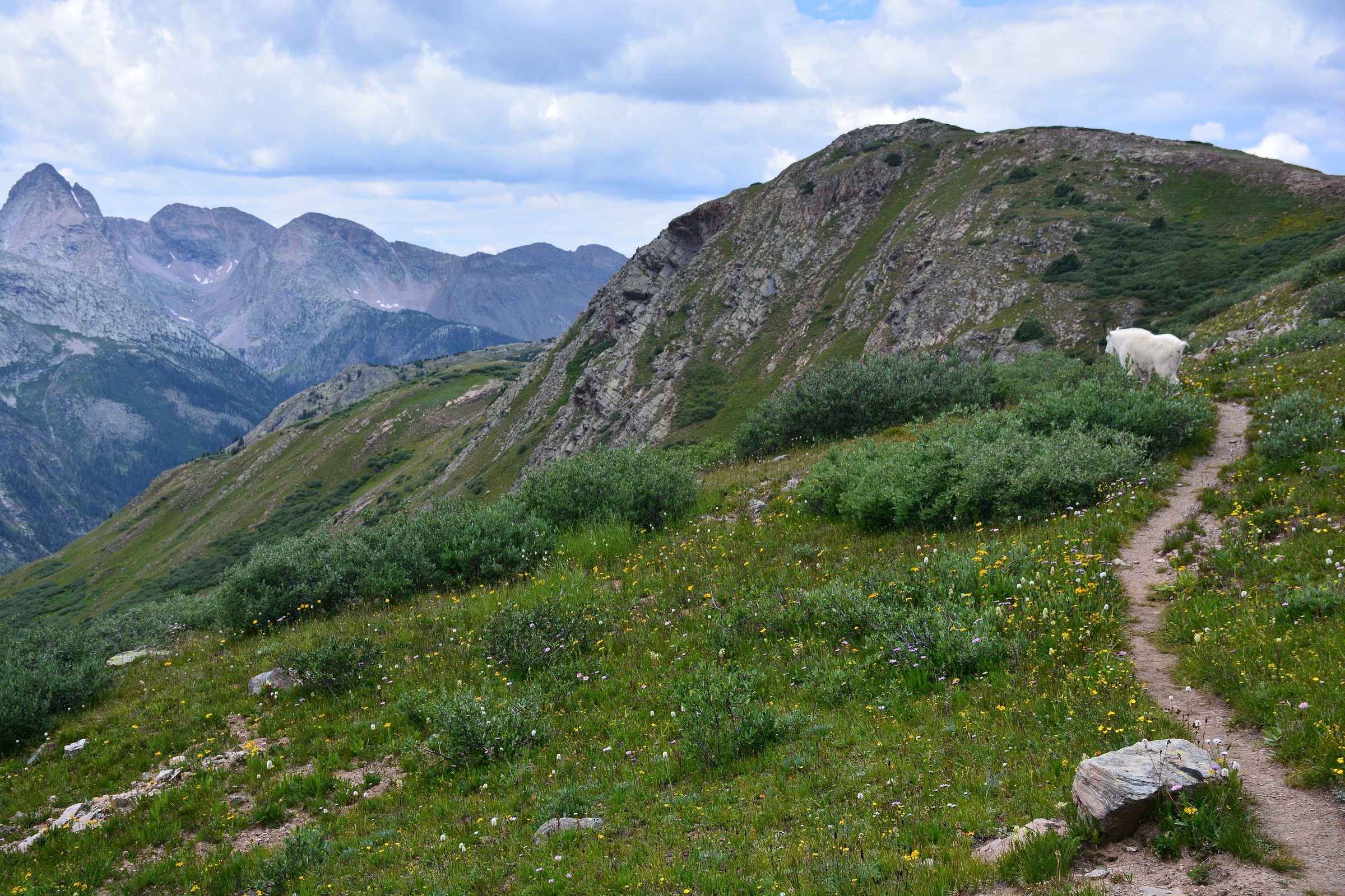 Highland Mary Lakes CDT Loop · Featured Route COTREX