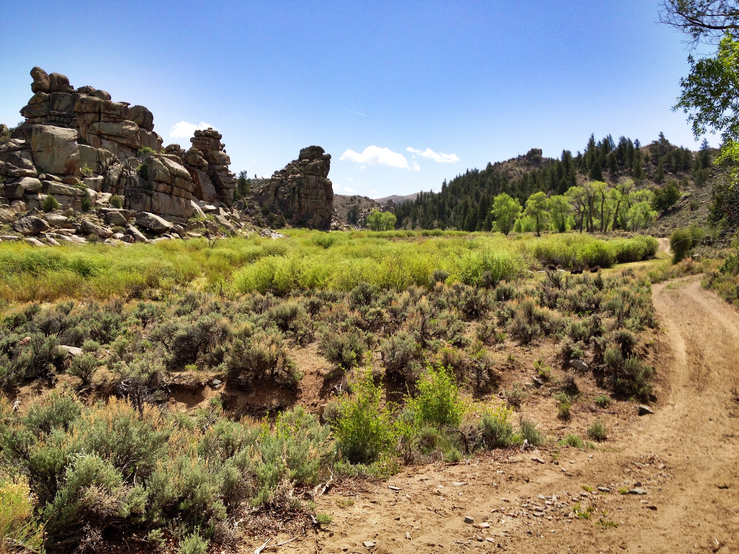 Aberdeen Loop From Bambi Trailhead Featured Route Cotrex